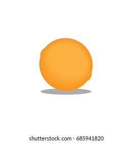 Orange fruit vector icon