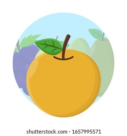 Orange Fruit Vector Icon Design