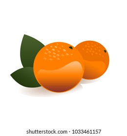 Orange fruit vector illustration