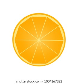 Orange fruit vector illustration