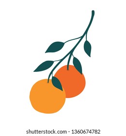 Orange fruit vector illustration 