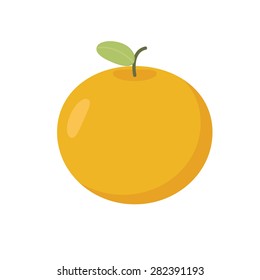 Orange fruit . Vector illustration