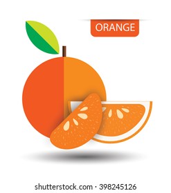 Orange, fruit vector illustration
