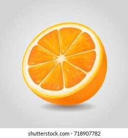 Orange fruit vector illustration