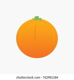 orange fruit vector illustration