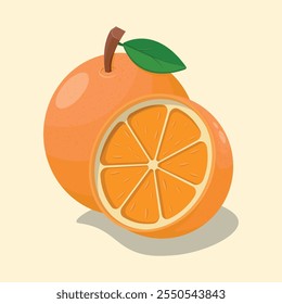 Orange fruit vector illustration art