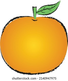orange fruit vector illustration for design element