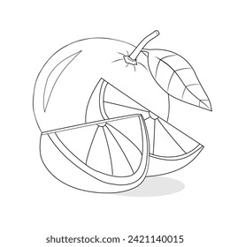 Orange fruit vector illustration design new version. Whole oranges.Pieces of orange fruit. Orange fruit vector sketch editable. Black and white. Sketch drawing for coloring book,packaging design,label