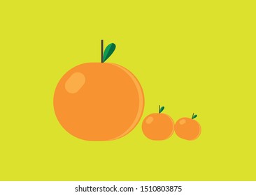 orange fruit vector illustration fresh