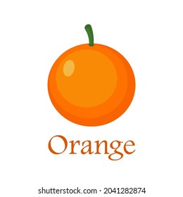 Orange fruit vector .Vector illustration of fresh citrus fruit in trendy style isolated on white background