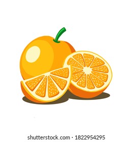 orange fruit vector illustration. good for fresh fruit product or design template. flat color hand drawn style