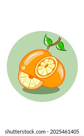 Orange fruit vector illustration hand drawing 
