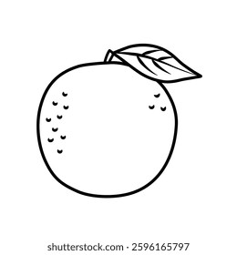 Orange fruit. Vector illustration with orange hand drawn with black pen. Isolated monochrome image on white background. Simple drawing. Element for printing and design.