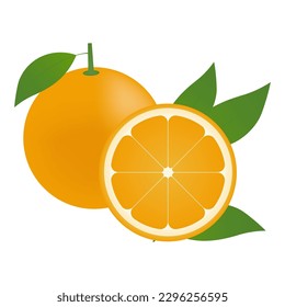 Orange fruit. Vector Illustration Isolated on White Background.