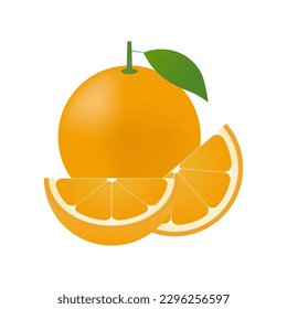 Orange fruit. Vector Illustration Isolated on White Background.