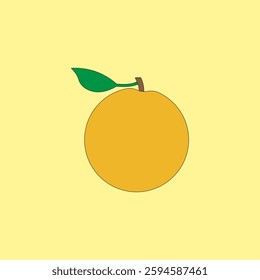Orange fruit vector illustration on yellow background