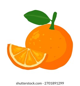 Orange fruit vector illustration with slice and green leaf on white background.