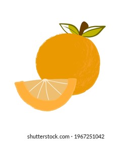 Fruta anaranjada. Ilustración vectorial. Cortes de naranja.