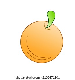 Ilustración vectorial de frutos anaranjados, uso para niños en educación, Logotipos, banderas proyectos niños