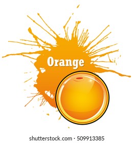 Orange , Fruit . vector illustration. Fruit for your design.