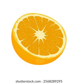 Orange Fruit Vector Image And Illustration