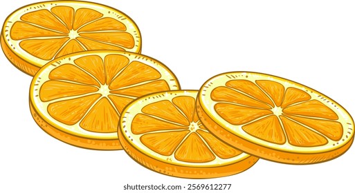 orange fruit vector isolated illustration
