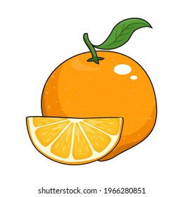 Orange Fruit Vector Isolated Illustrations
