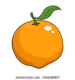 Orange Fruit Vector Isolated Illustrations