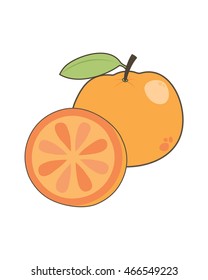 Orange fruit vector isolated on white background