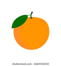 Vector de la fruta anaranjada con las hojas, icono de la fruta anaranjada aislado en fondo blanco. Diseño de Ilustración vectorial plana