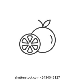 Orange Fruit Vector Line Icon illustration.