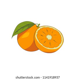 Orange fruit vector on white background