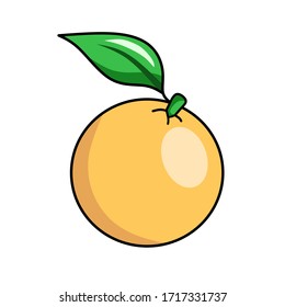 orange fruit vector with an outline icon with a white background - vector