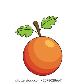 Orange fruit vector suitable for use as children's book allisation