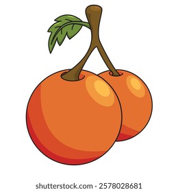 Orange fruit vector suitable for use as children's book allisation