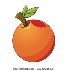 Orange fruit vector suitable for use as children's book allisation