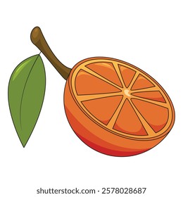 Orange fruit vector suitable for use as children's book allisation