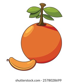 Orange fruit vector suitable for use as children's book allisation