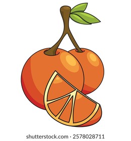 Orange fruit vector suitable for use as children's book allisation