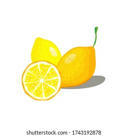 
orange fruit vector with white background