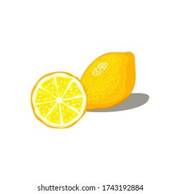 
orange fruit vector with white background