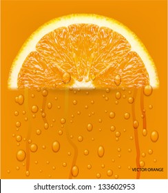 Orange fruit with water drops background. Vector illustration.