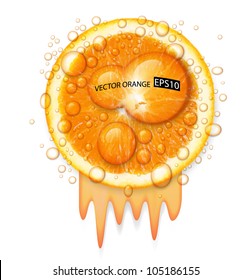 Orange fruit with water drops isolated on white background. Vector illustration.