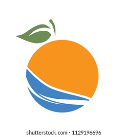 Orange fruit and water waves. abstract logo icon