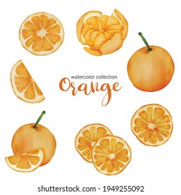 Orange in fruit watercolor collection design, full of fruit and slice and cut in half , Drawing set  Flat Design Vector Illustration