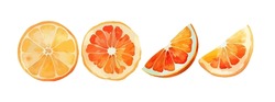 Orange Fruit Watercolor Set. Fresh Summer Fruit, Citrus Mandarin Fruit, Orange Fruit Slice Isolated On White Background. Vector Illustration
