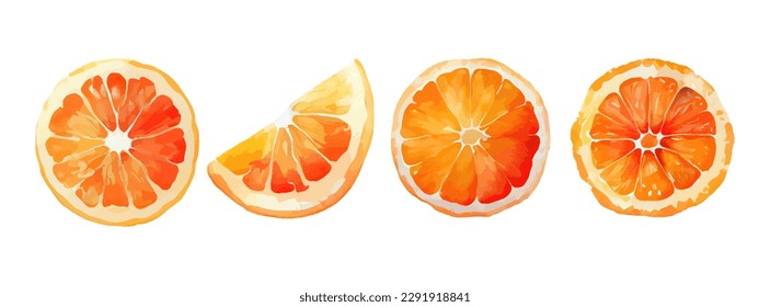 Orange Fruit Watercolor Set. Fresh summer fruit, citrus mandarin fruit, orange fruit slice isolated on white background. Vector illustration - Shutterstock ID 2291918841