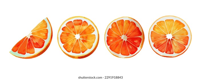 Acuarela De Fruta Naranja Set. fruta fresca de verano, cítricos de mandarina, trozos de fruta naranja aislados de fondo blanco. Ilustración del vector