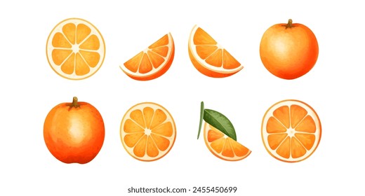 Orange Fruit Watercolor Set. Fresh summer fruit, citrus mandarin fruit, orange fruit slice isolated on white background. Vector illustration