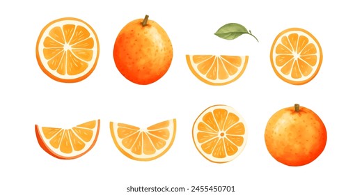 Orange Fruit Watercolor Set. Fresh summer fruit, citrus mandarin fruit, orange fruit slice isolated on white background. Vector illustration